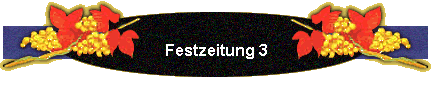 Festzeitung 3